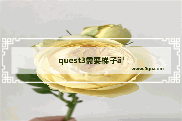 quest3需要梯子么