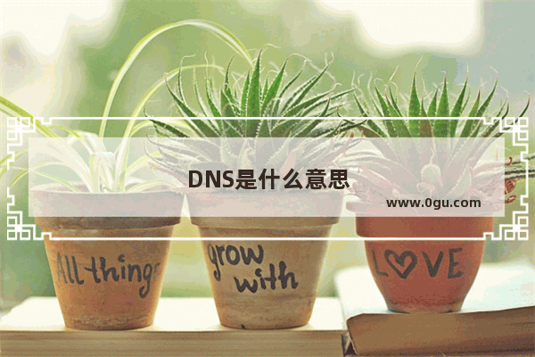 DNS是什么意思