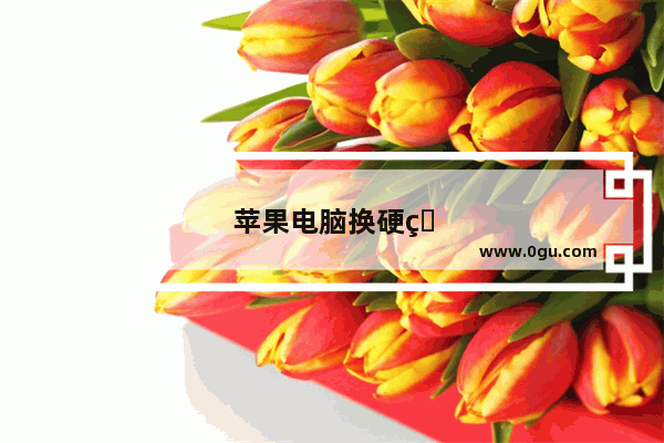 苹果电脑换硬盘多少钱一个