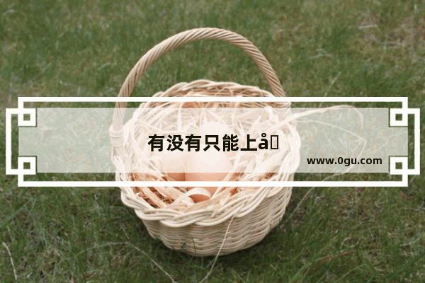 有没有只能上场一个角色的回合制游戏呢
