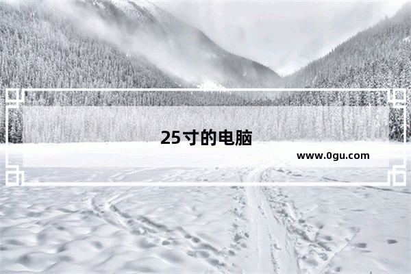 25寸的电脑