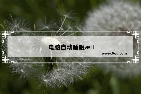 电脑自动睡眠是什么意思