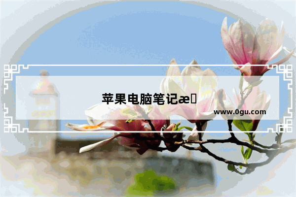 苹果电脑笔记本U盘插哪