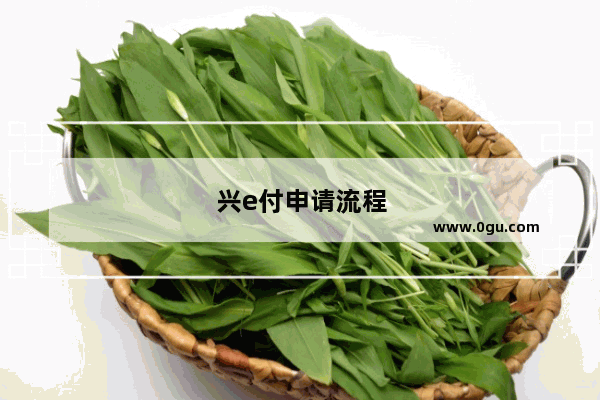 兴e付申请流程