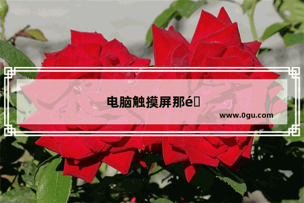 电脑触摸屏那里进水怎么办