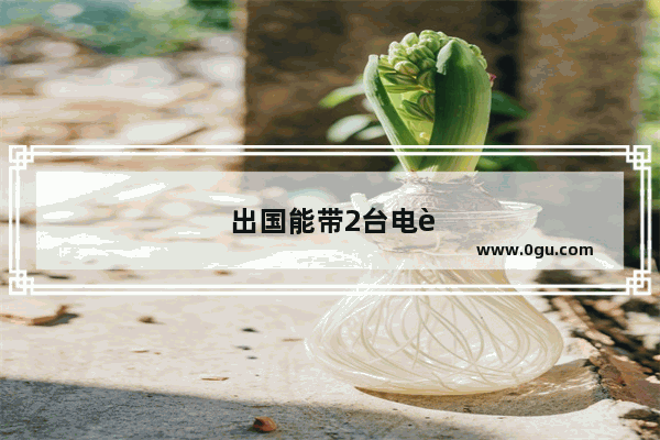 出国能带2台电脑吗