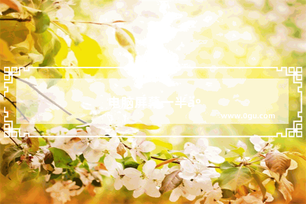 电脑屏幕一半亮一半暗该怎么解决