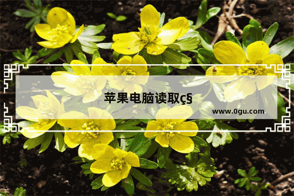 苹果电脑读取移动硬盘