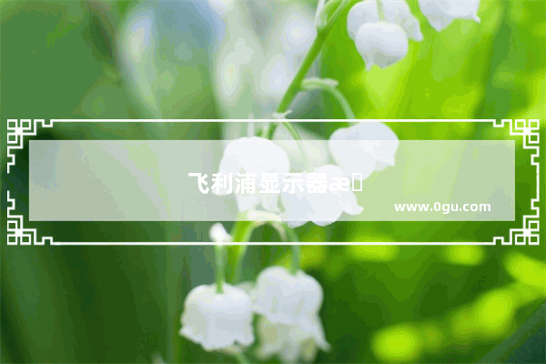 飞利浦显示器指示灯不亮 屏幕也不亮