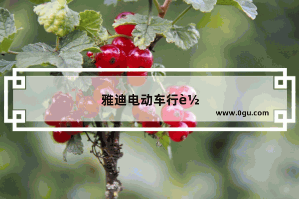 雅迪电动车行车电脑怎样启动