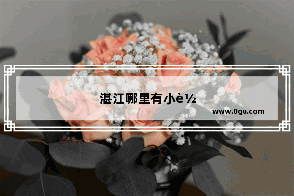 湛江哪里有小车减震器升降维修部