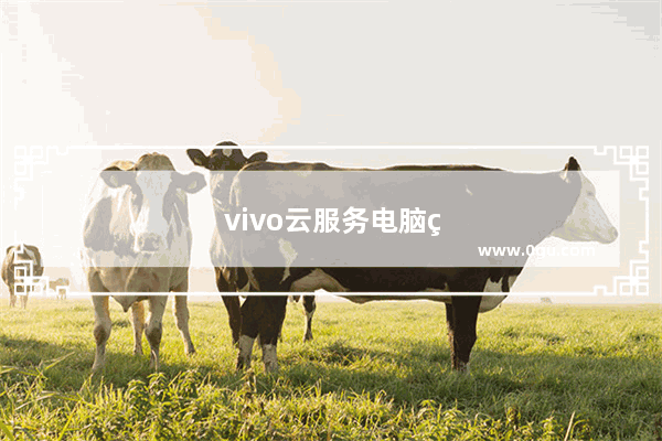 vivo云服务电脑端怎么备份