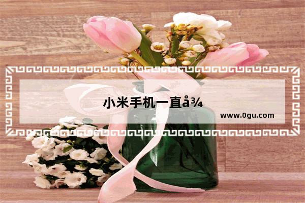 小米手机一直循环卡在开机页面怎么办
