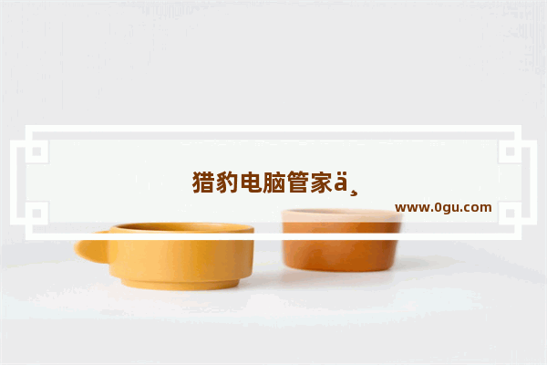 猎豹电脑管家下载