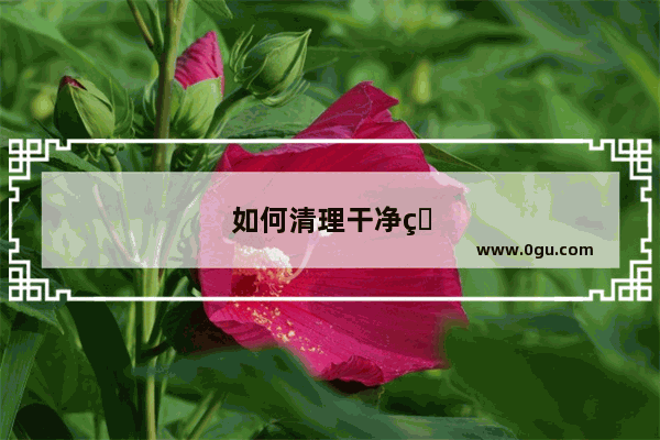 如何清理干净电脑里的垃圾
