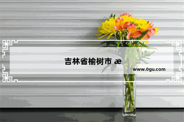 吉林省榆树市 有华硕笔记本电脑官方维修站吗