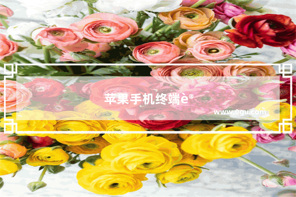 苹果手机终端设置在什么地方