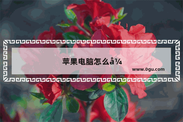 苹果电脑怎么强制重启快捷键