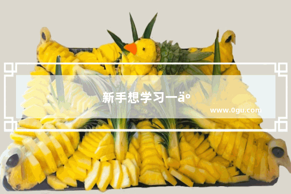 新手想学习一些关于计算机的知识 该怎样做