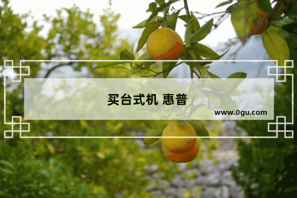 买台式机 惠普 联想 雷神哪个更好