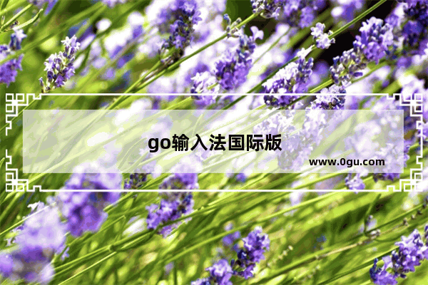 go输入法国际版怎么用