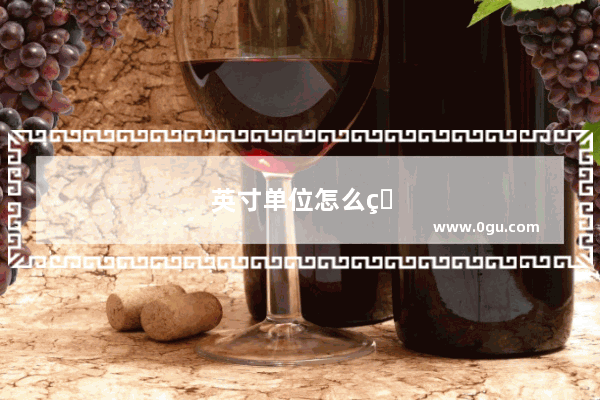 英寸单位怎么看