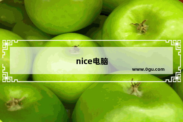 nice电脑