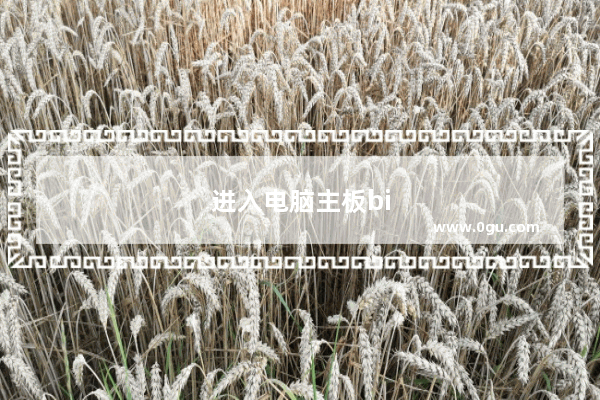 进入电脑主板bios设置