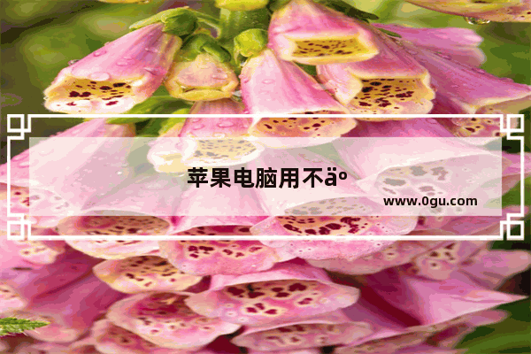 苹果电脑用不了U盾怎么回事
