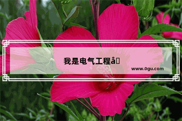 我是电气工程及其自动化专业的一个大一生 最近想要买一个性价比比较高的电脑 有什么建议