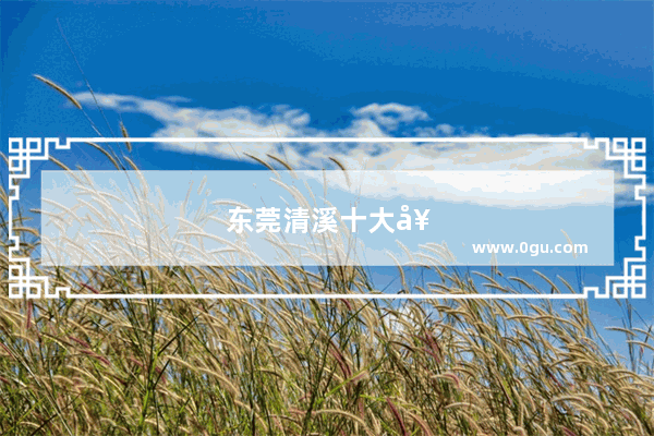 东莞清溪十大好厂