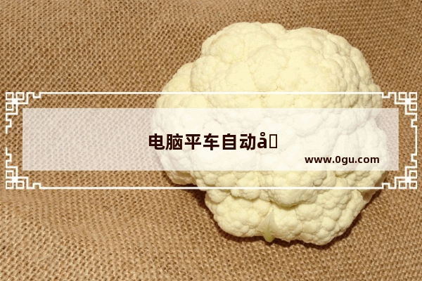 电脑平车自动加速怎么办
