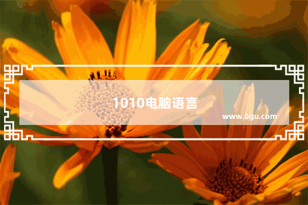1010电脑语言