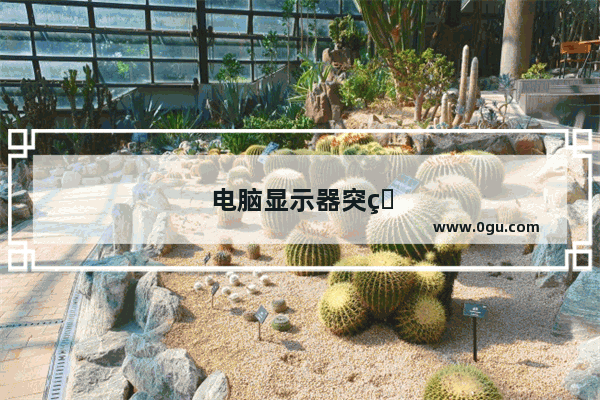 电脑显示器突然没有显示 电源灯也不亮了 怎么回事