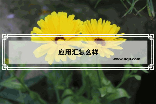 应用汇怎么样