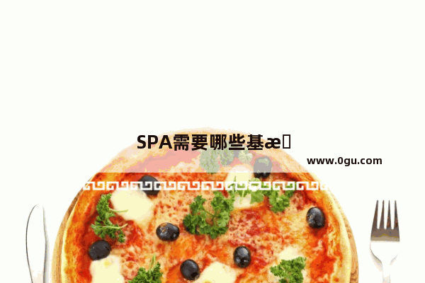 SPA需要哪些基本仪器设备清单