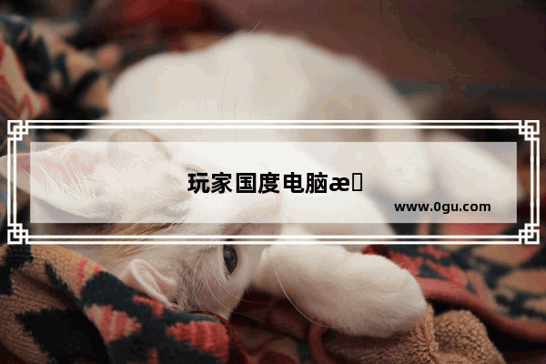 玩家国度电脑怎么样好用吗