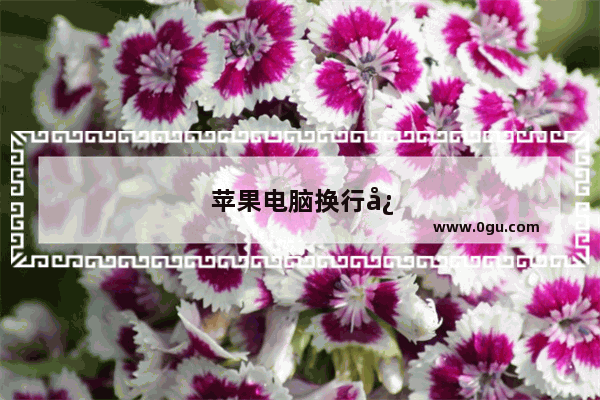 苹果电脑换行快捷键ctrl加什么
