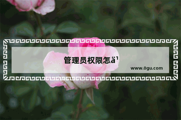 管理员权限怎么设置