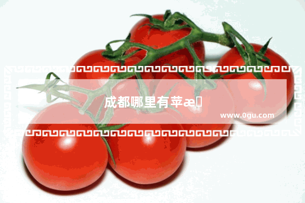成都哪里有苹果授权的维修店呢