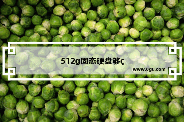 512g固态硬盘够用吗每个盘分多少