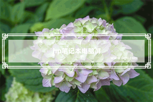 hp笔记本电脑屏幕坏了怎么连接显示屏