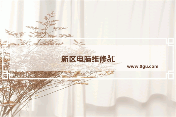 新区电脑维修哪家好