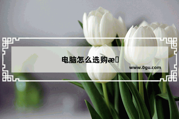电脑怎么选购性价比高