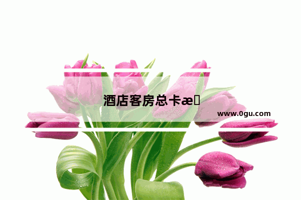 酒店客房总卡怎么设置