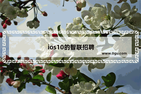 ios10的智联招聘为什么连接不上网络