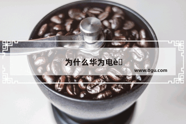 为什么华为电脑在美国售价较高