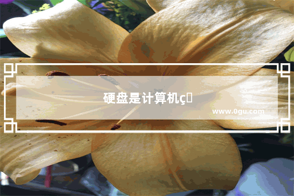 硬盘是计算机的什么