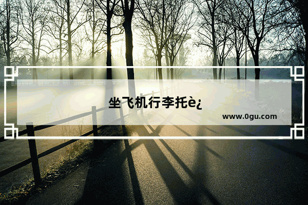坐飞机行李托运箱子里可以放相机吗
