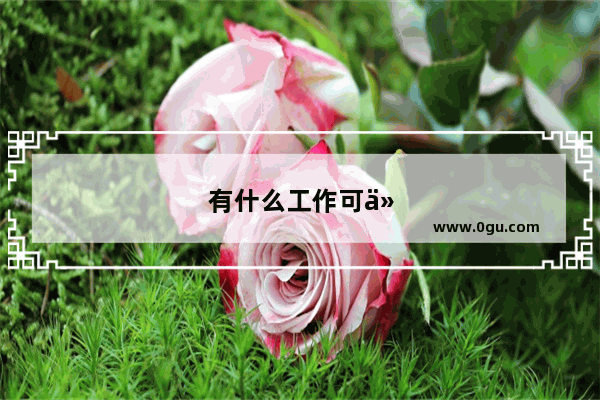 有什么工作可以在家里用电脑做的吗